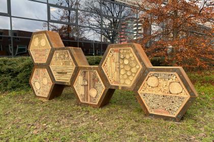 Van der Hoeven Kliniek maakt insectenhotel voor Utrechtse wijk Lauwerecht
